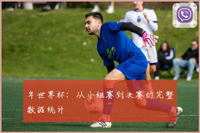 年世界杯:从小组赛到决赛的完整数据统计
