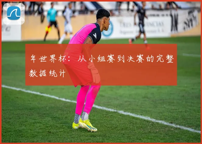 年世界杯:从小组赛到决赛的完整数据统计